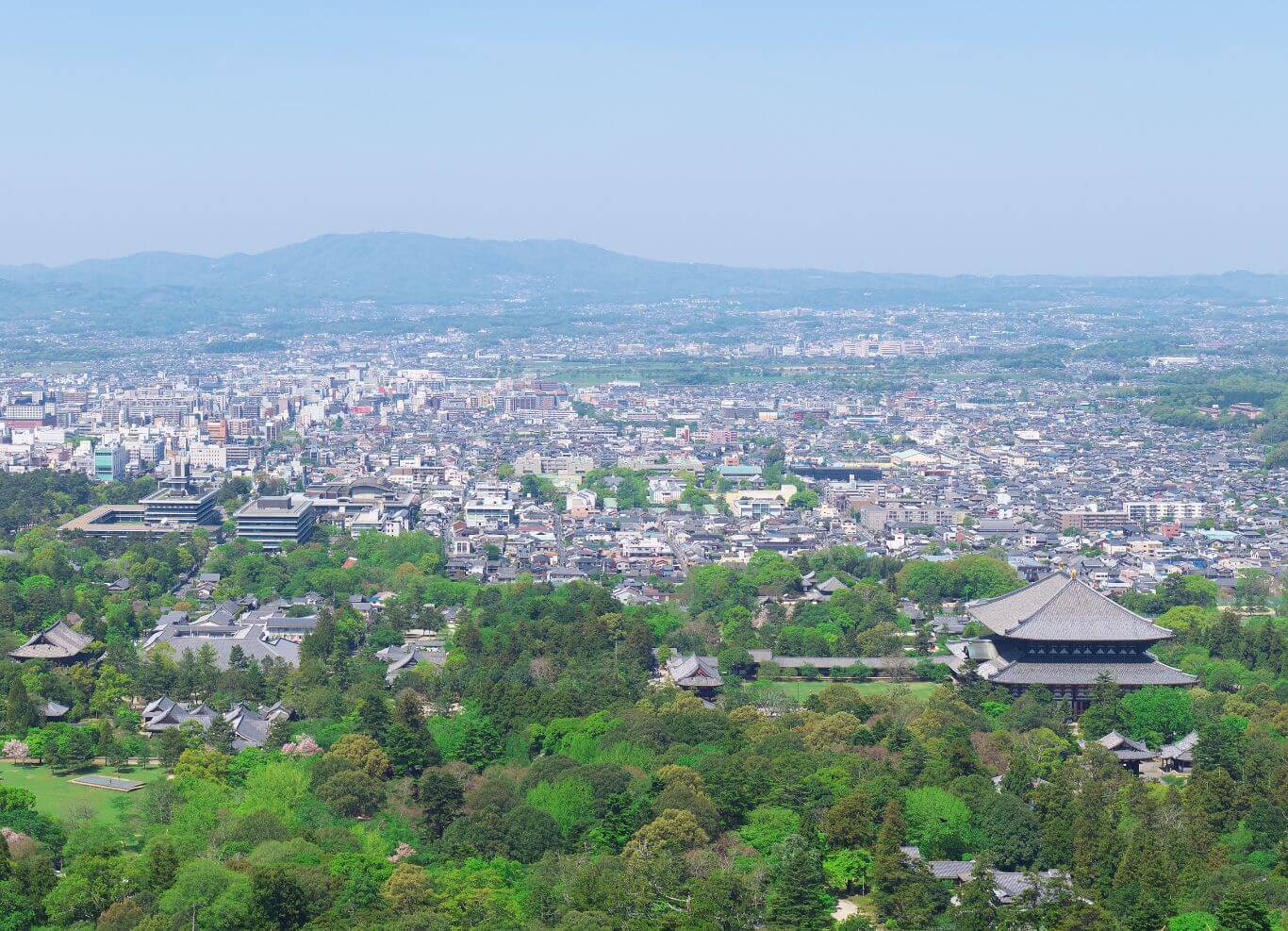 奈良県信用保証協会 会長 村井 浩